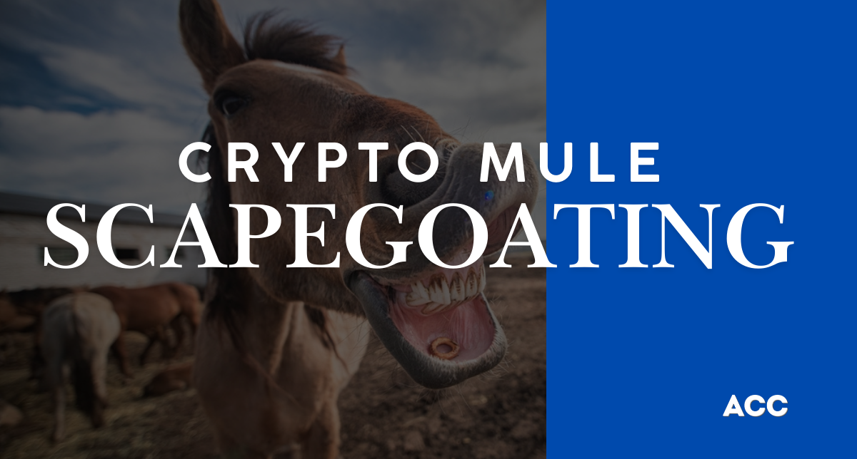 What is a Crypto Money Mule Scam?